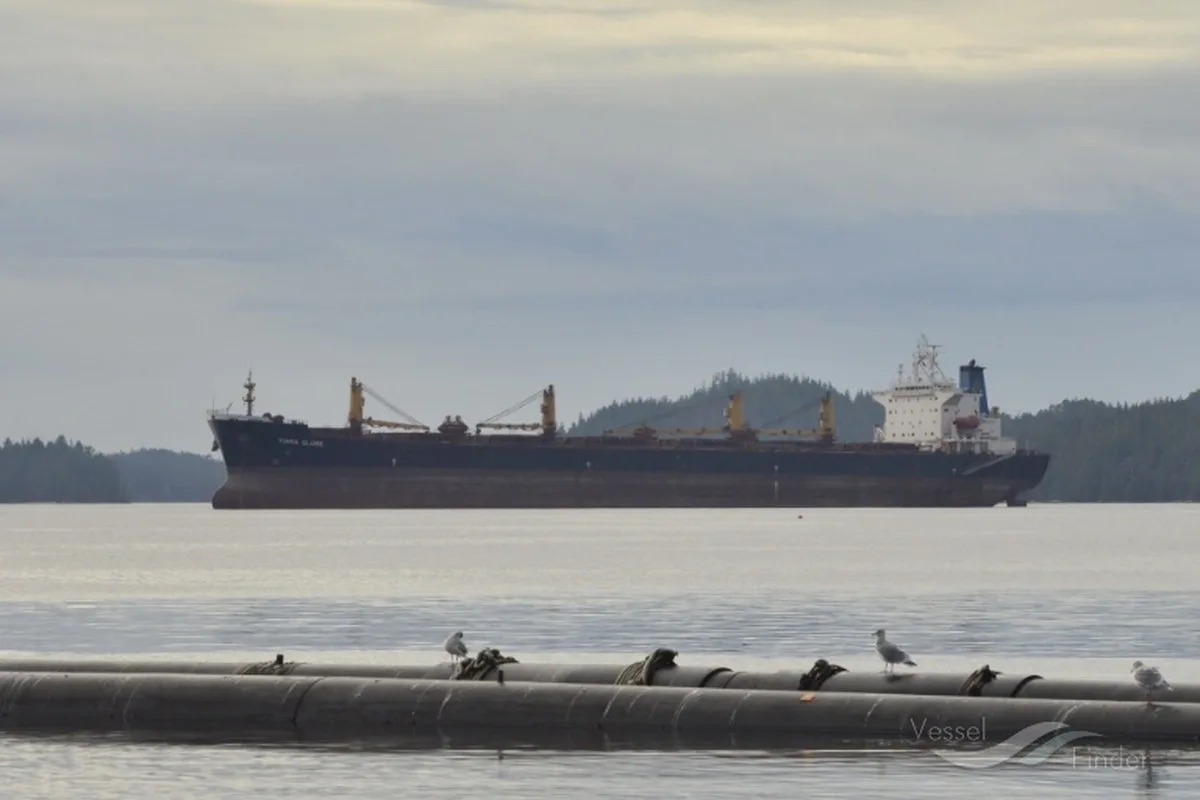 Bengal Körfezi’nde Bulker Gemisi Aniden Batarken 22 Mürettebat Kayıp