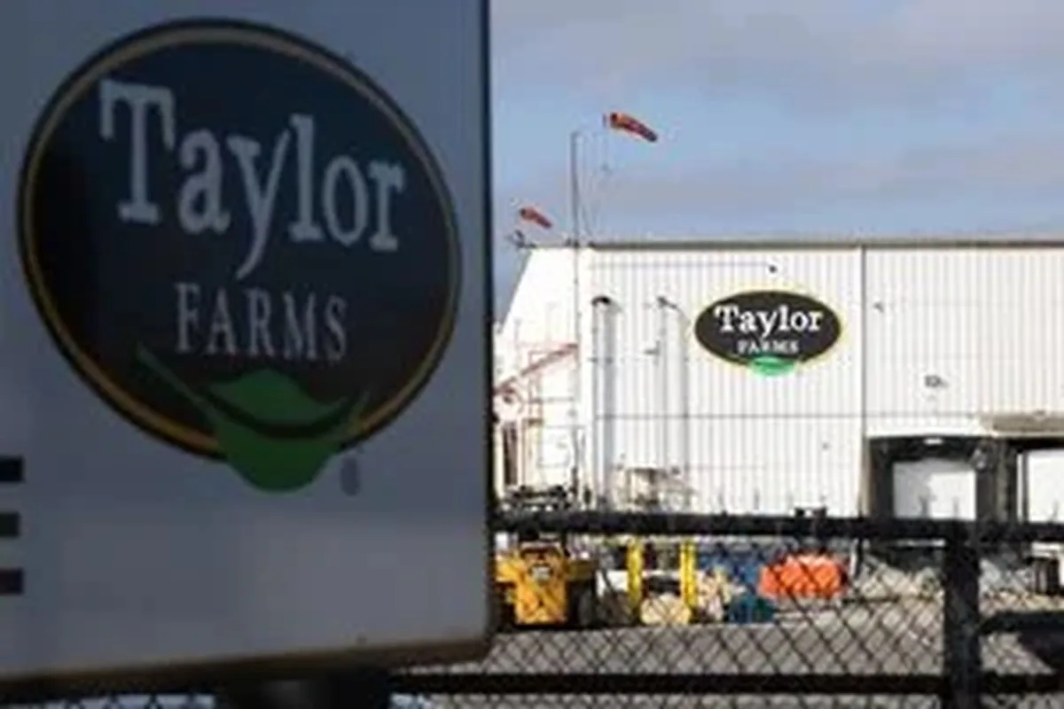 Taylor Farms: İşçi Kazalarıyla İlişkili Raporlama İhmalleri Ortaya Çıktı