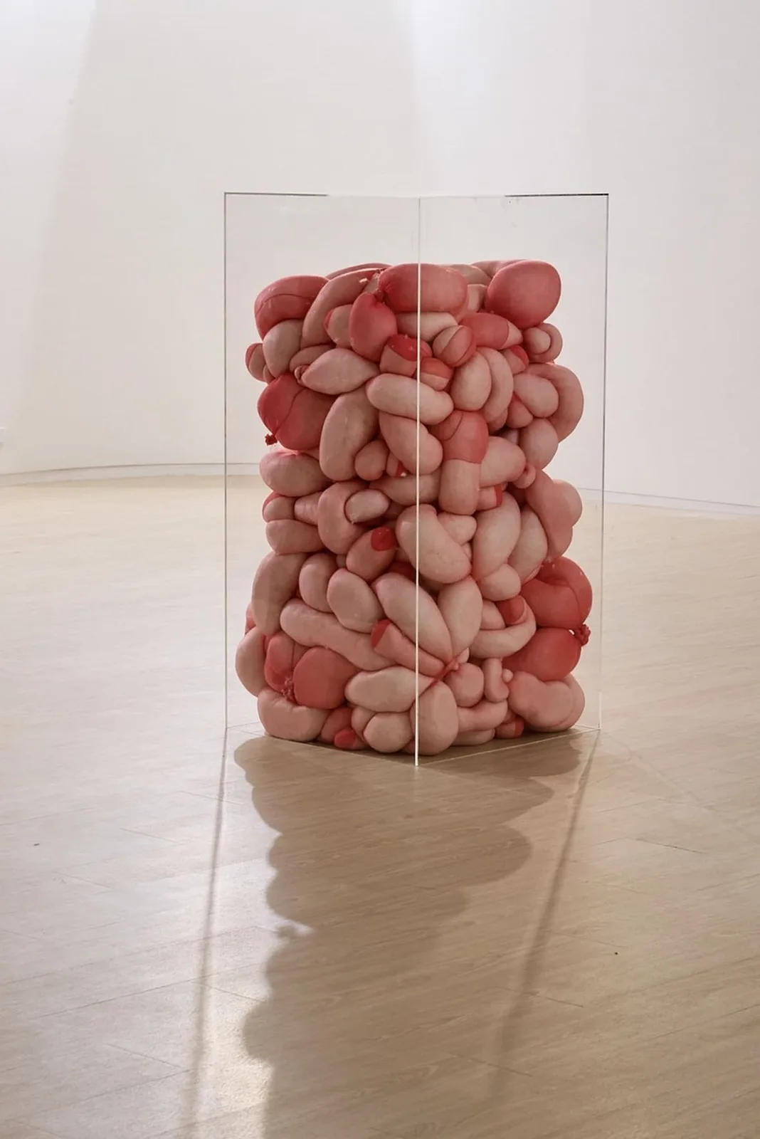 the body as structure 9