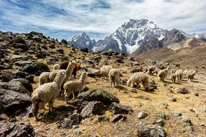 Peru’un Machu Picchu Ötesindeki 8 Büyüleyici Yer