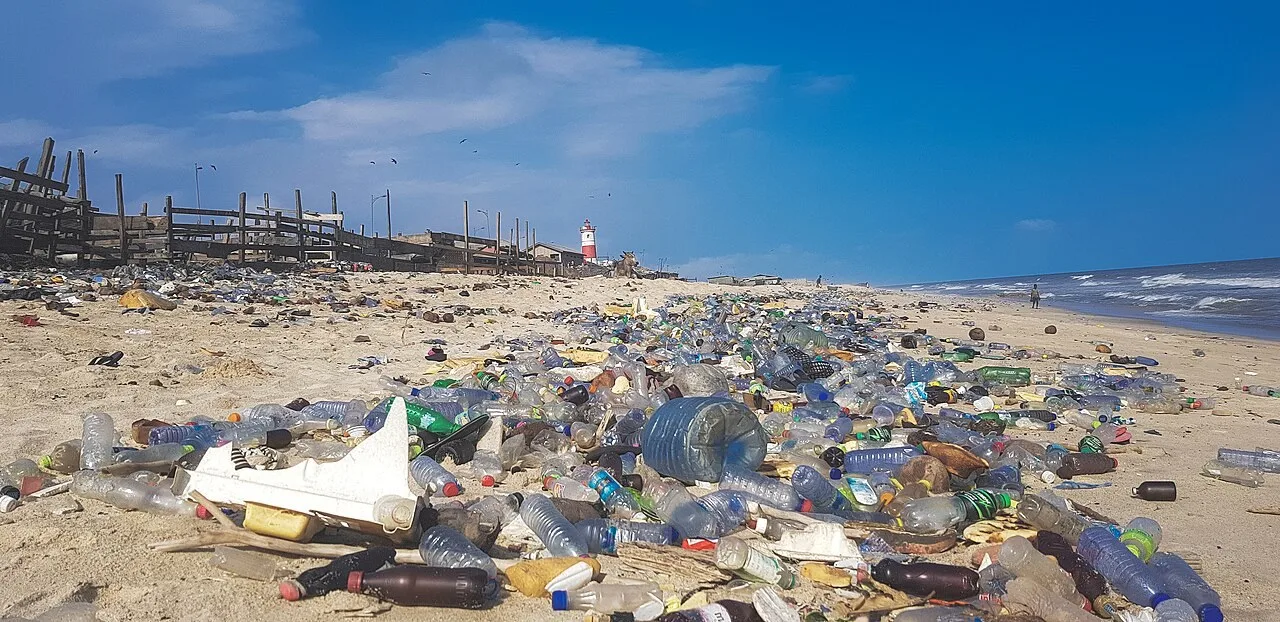 Plastik Kirliliği