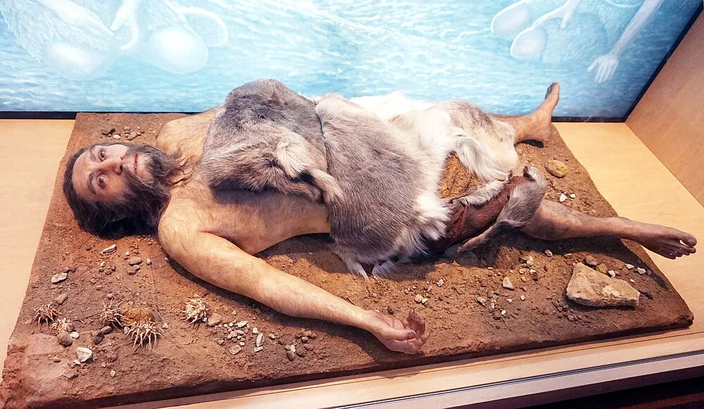 Homo neanderthalensis Kafatası Anatomisi ve Homo sapiens ile Beyin Kapasitesi Karşılaştırması: Osteoloji ve Paleoantropoloji