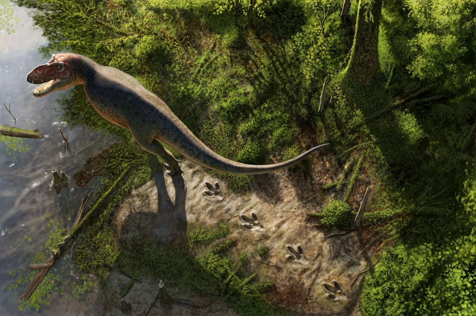 Kuzey Dakota’da Bulunan Dört Dev Dinozor İzi, Dünyada İlk Yetişkin T. Rex Yürüyüş İzleri Olarak Tarihe Geçti