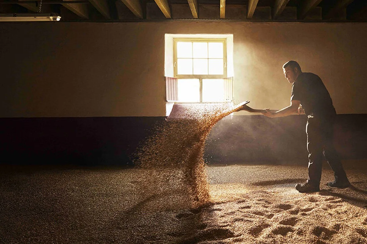 daniel arsham turns barley grains into moving sculpture for the balvenie at frieze seoul - 3