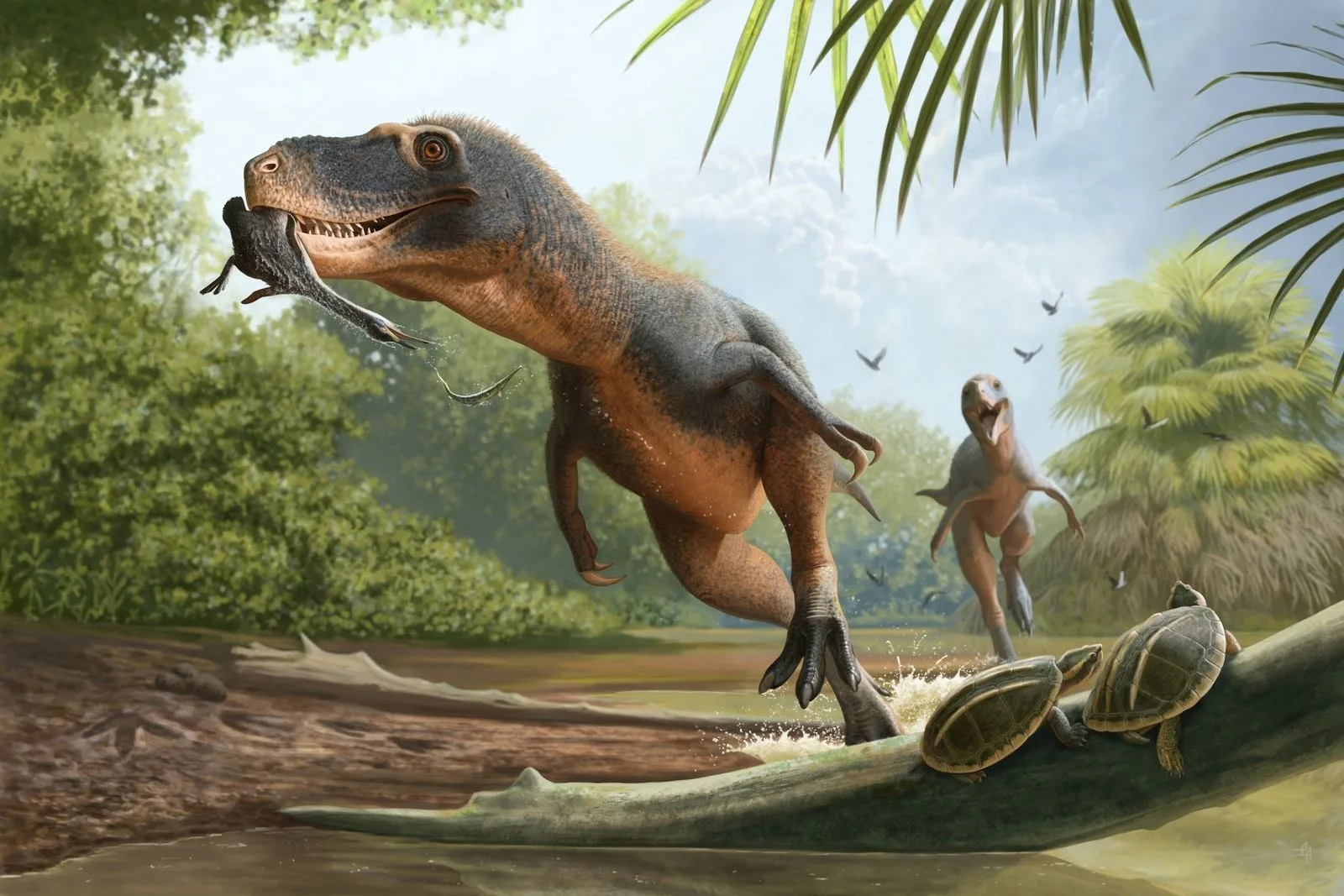 66 Milyon Yıllık Dinozor Dışkısındaki Tüy, Kuşların Mass Extinction’dan Neden Hayatta Kaldığını Açığa Çıkarıyor