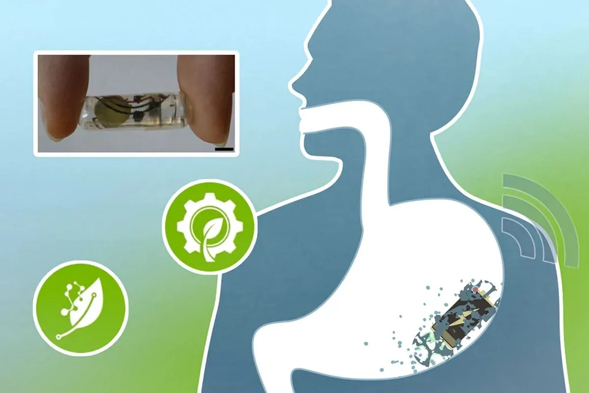 illustration of battery inside stomach