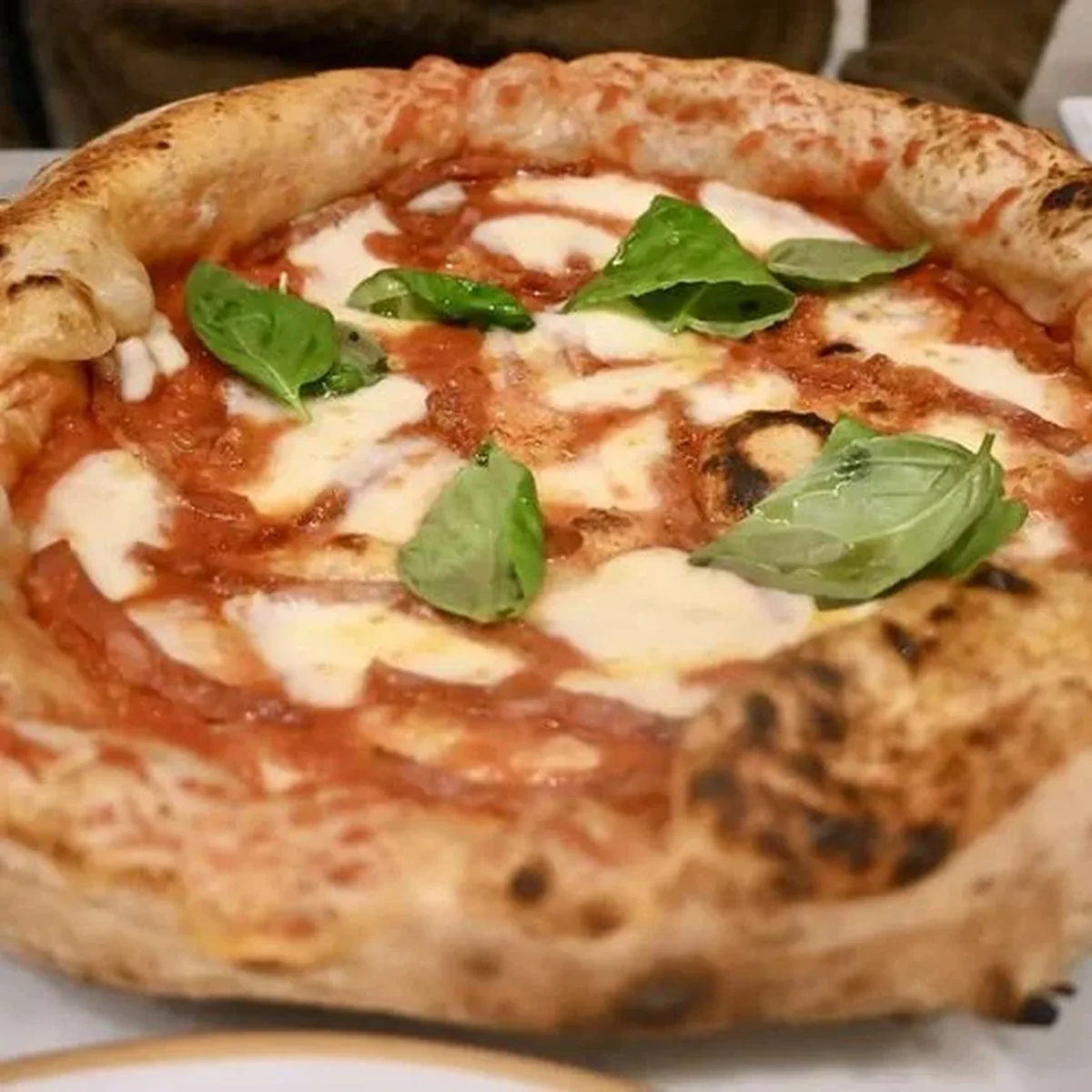 The 10 best pizzerias in the world, ranked