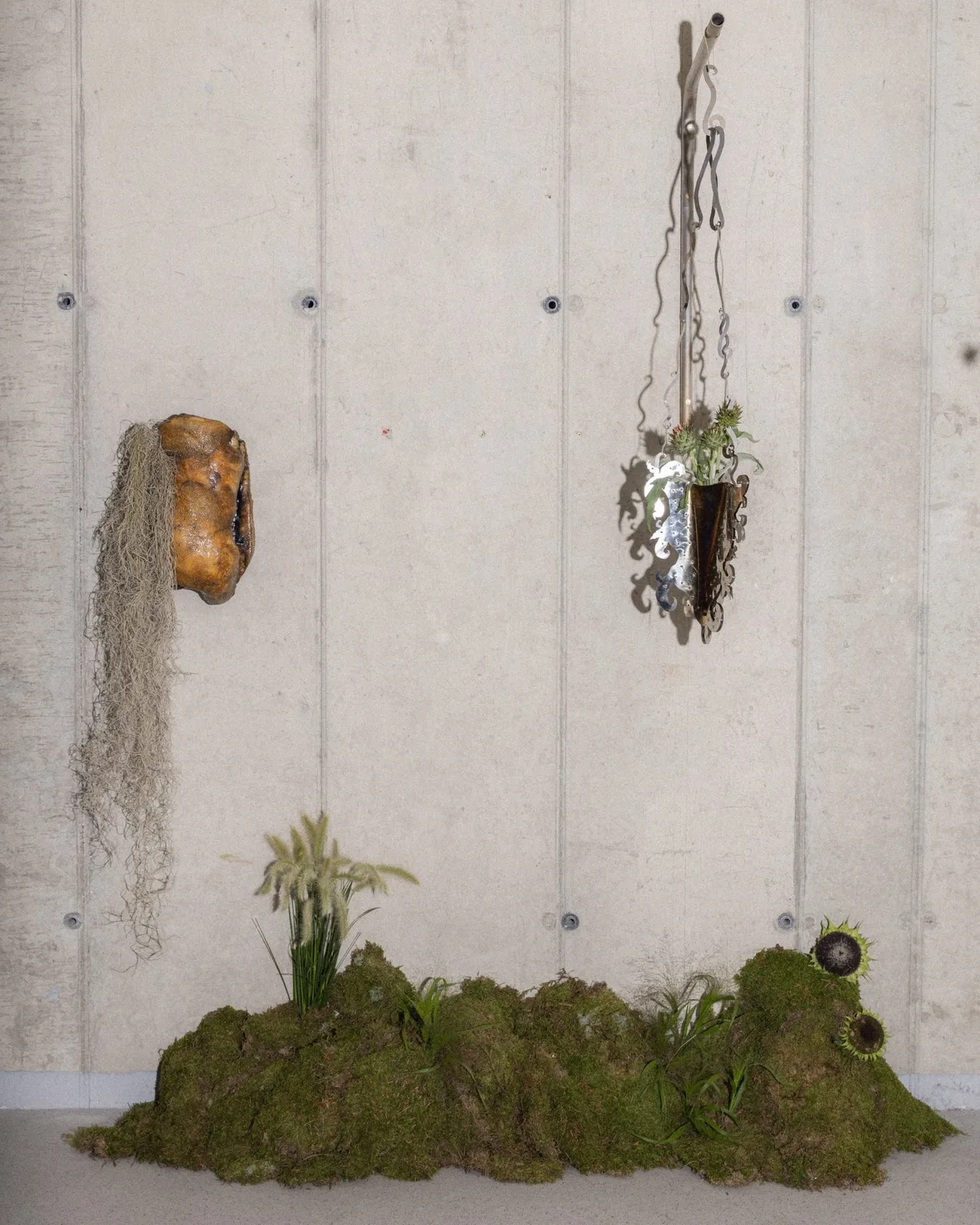 Nicolas Zanoni and for Martha McGuinn for Slancha's Hanging Baskets