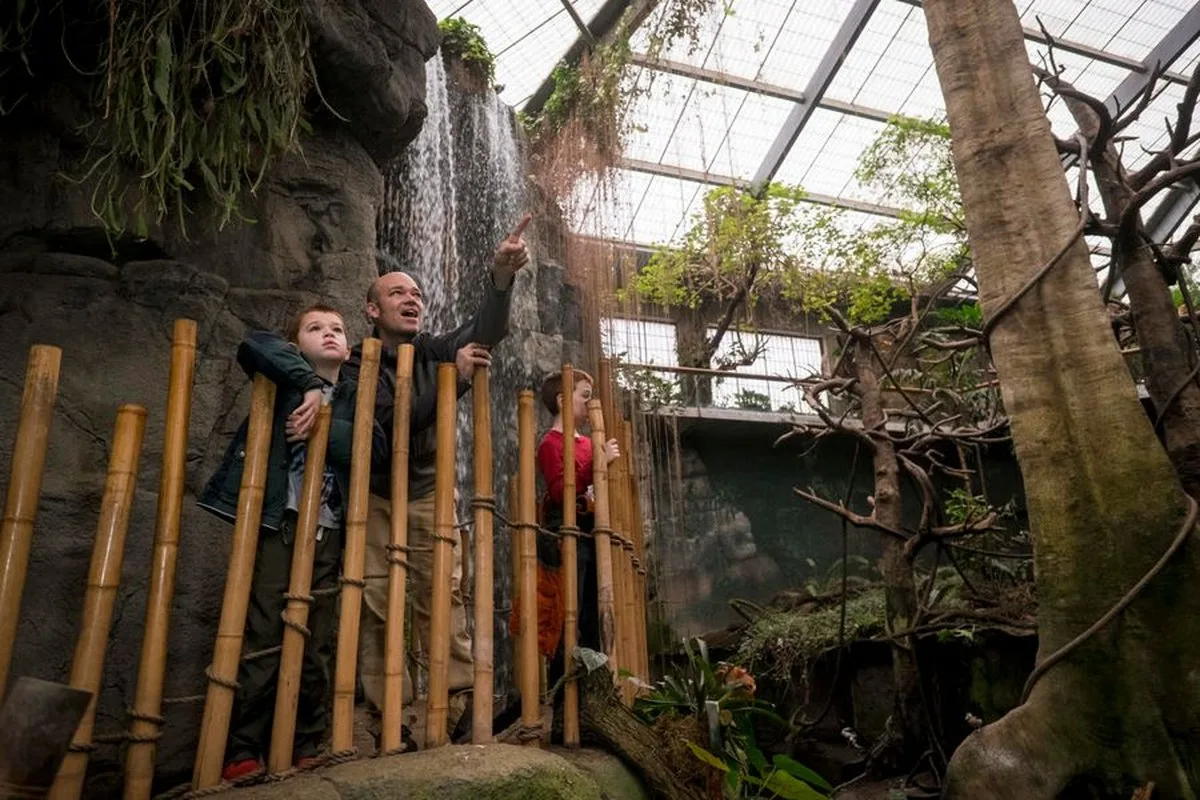 The 7 best zoos in the U.S., ranked