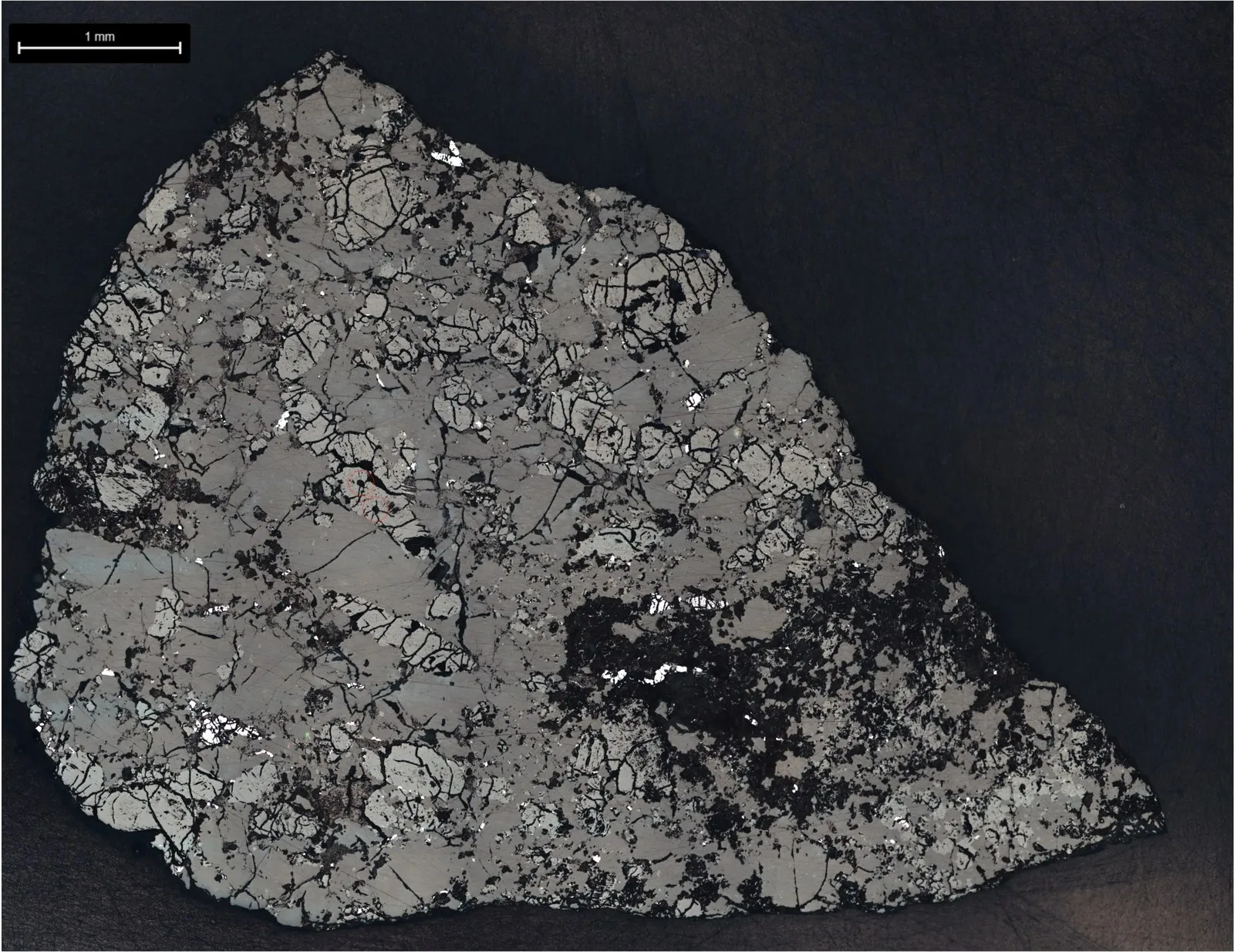 NASA-funded Study Details One of Oldest Mars Meteorites Ever Found