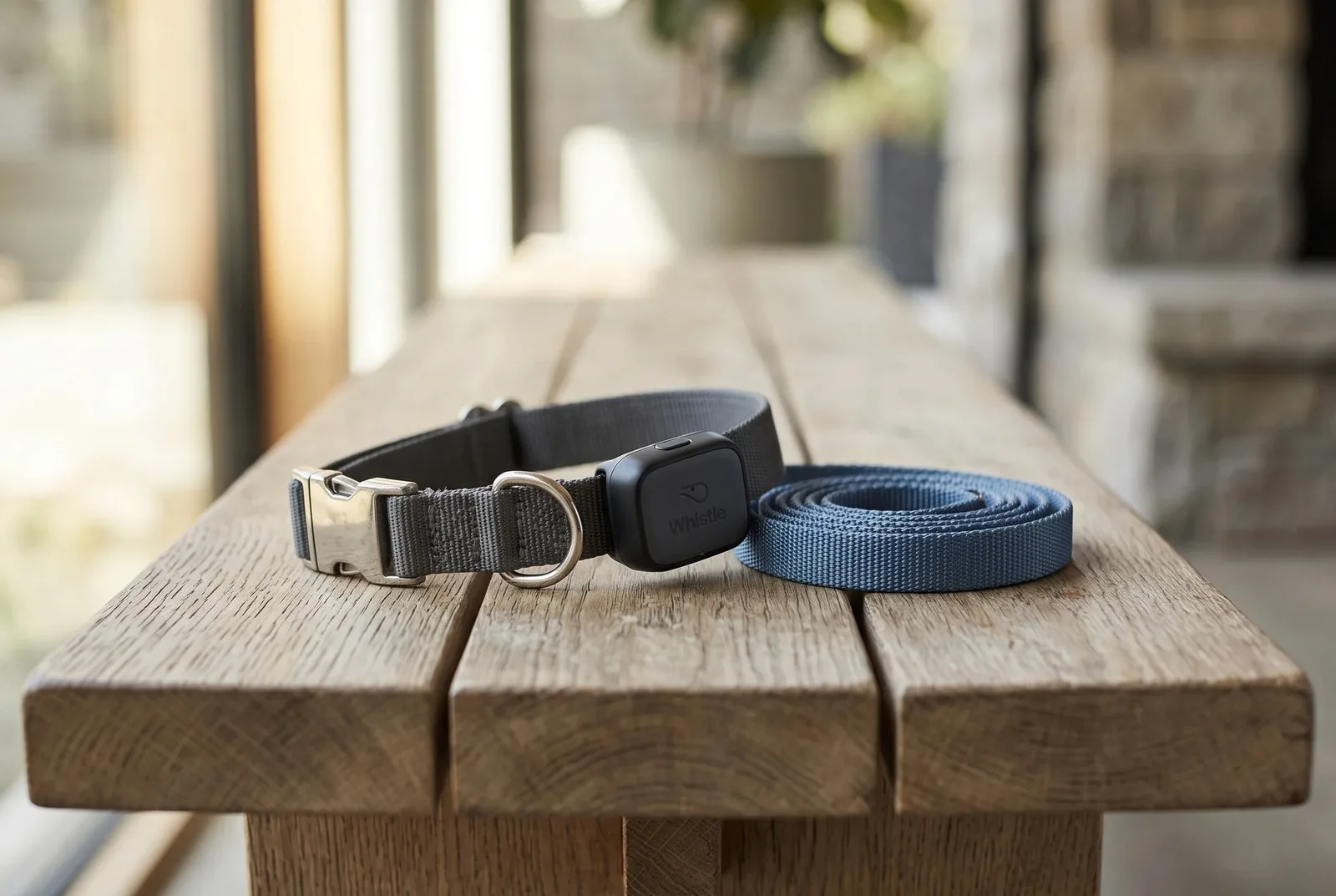 10 pet product categories that are booming right now