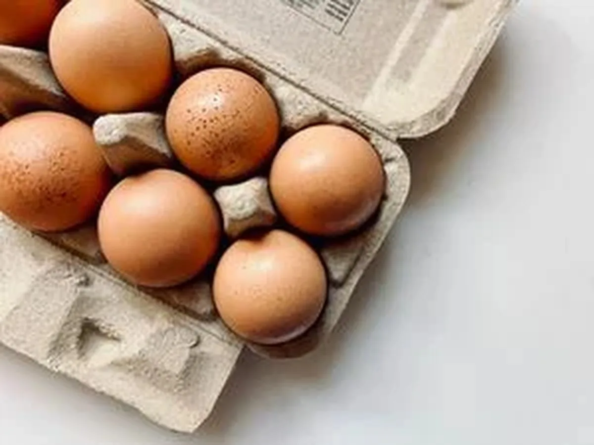 Kaliforniya Sağlık Yetkilileri, Salmonella Vakaları Üzerine Happy Hens Yumurtalarının Tüketilmesinden Vazgeçilmesi İçin Uyardı