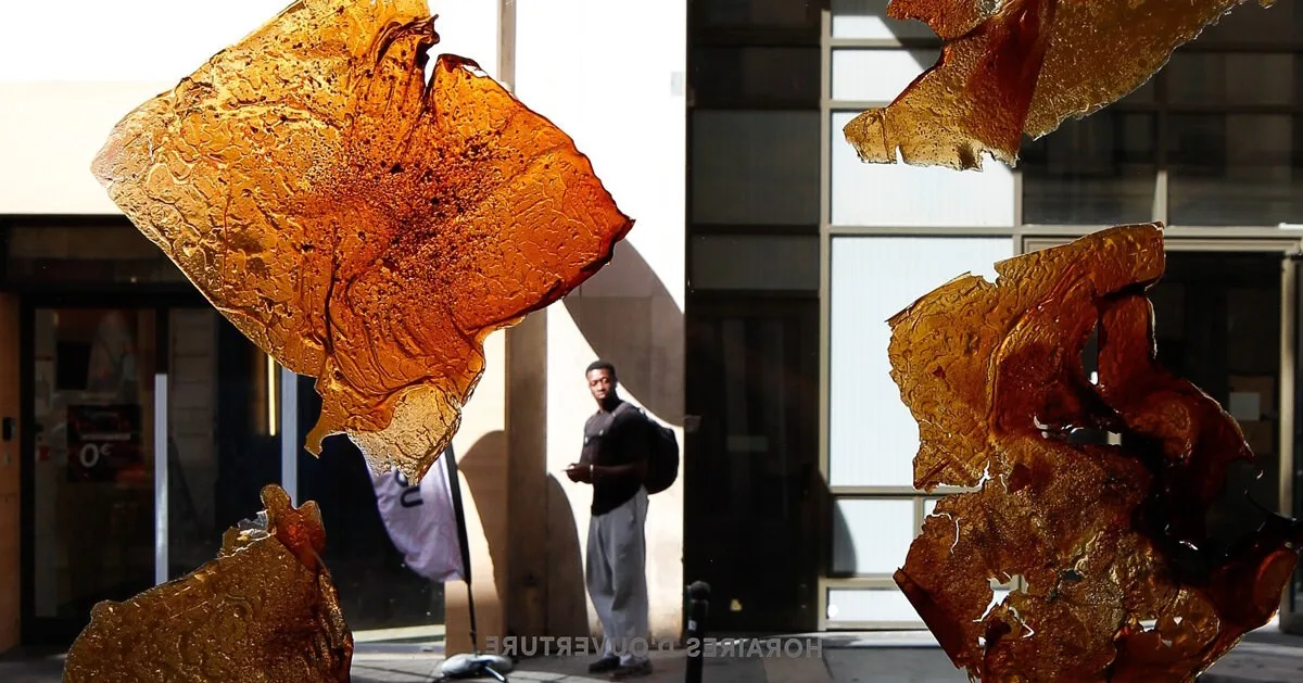 Paris Design Week’te “Found Associations”: Bir kafe, biyomaterial laboratuvarına dönüştürülüyor